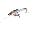 minnow