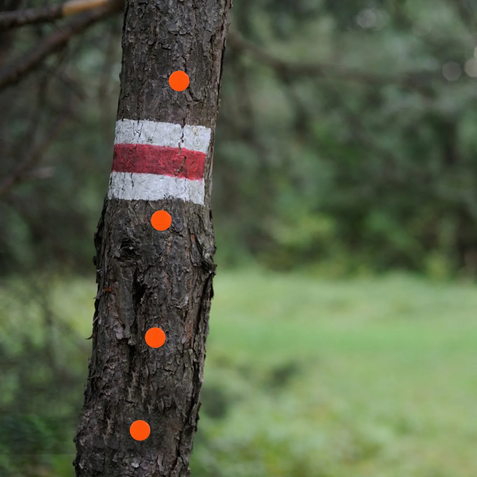 

50Pcs Reflective Thumb Tacks Trail Markers Night Visibility for Hiking Camping Glow Metal Push Pins Outdoor Tack