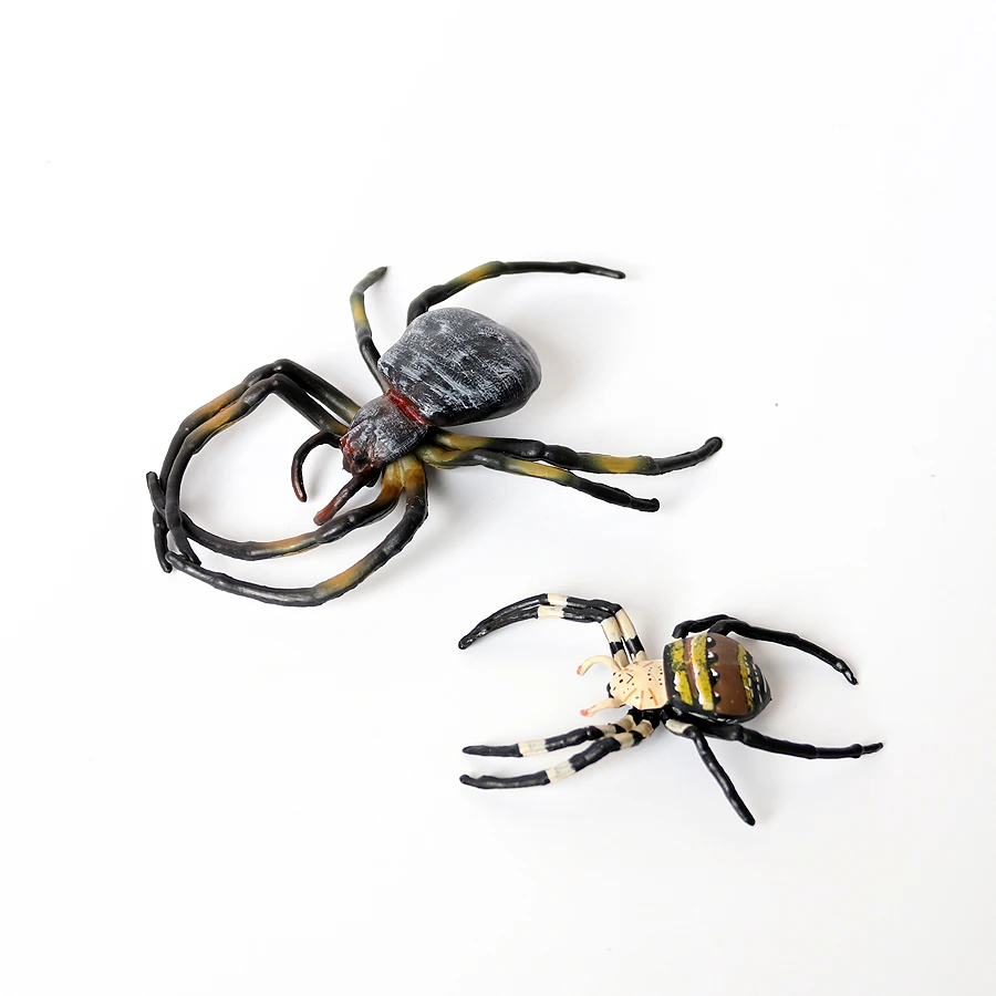 سلسلة دورة حياة مونتيسوري الواقعية من العنكبوت المراوح العقرب النمل الرتيلاء الحشرات نموذج أرقام تعلم ألعاب تعليمية