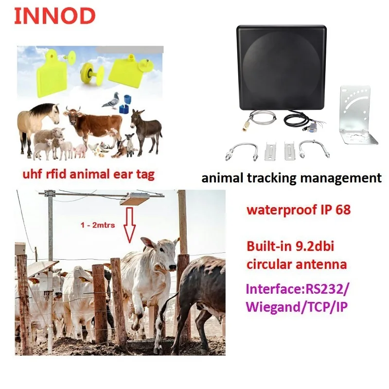 Vieh-Tasing-Zählung, UHF-RFID-Ohrmarke, Tierohrmarke, 860–960 MHz