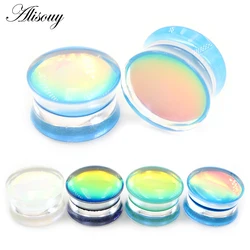 Alisouy 2PCS Multi-color Acrylic Glossy Film Ear Gauges Tunnels Plugs Flesh Stretcher Expander Earrings Piercing Body Jewelry