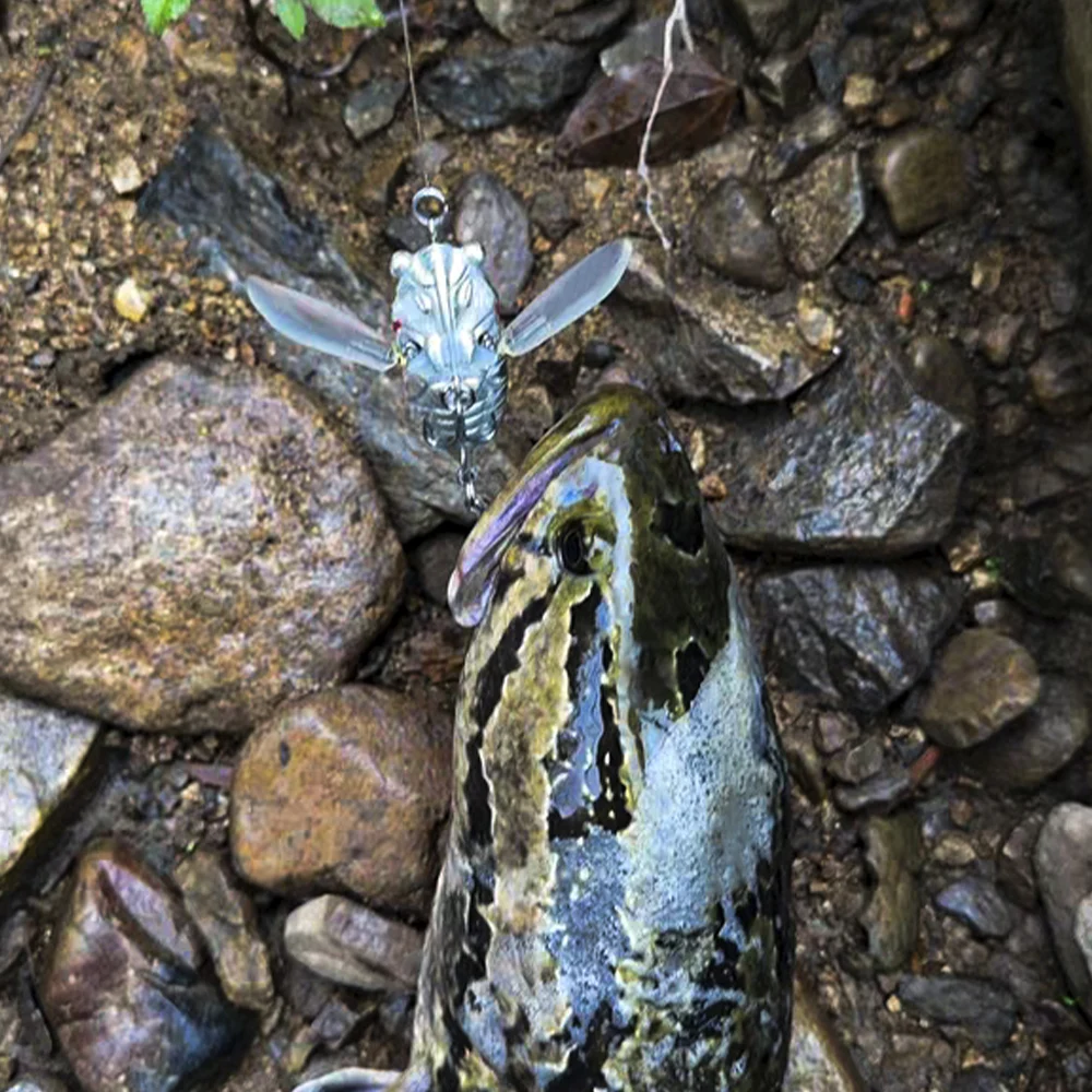 Señuelo Topwater Kingdom Cicada – Cebo duro flotante para lucio - imagen 4