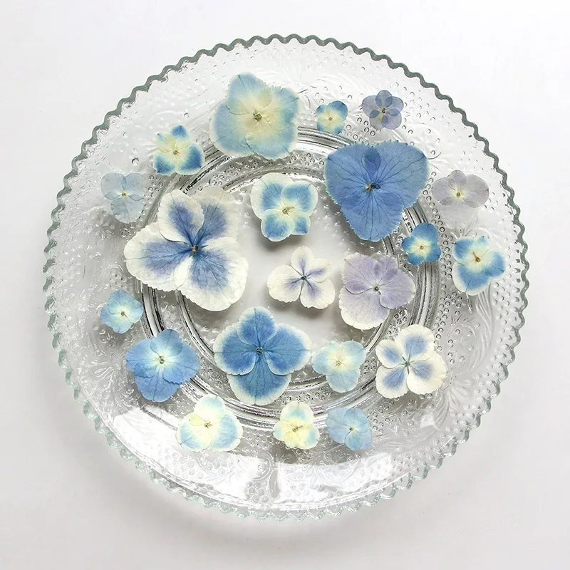 60pcs Pressed Dried Blue Series Hydrangea Flower Herbarium For Resin Epoxy Jewelry Card Bookmark Frame Phone Case Makeup Lamp