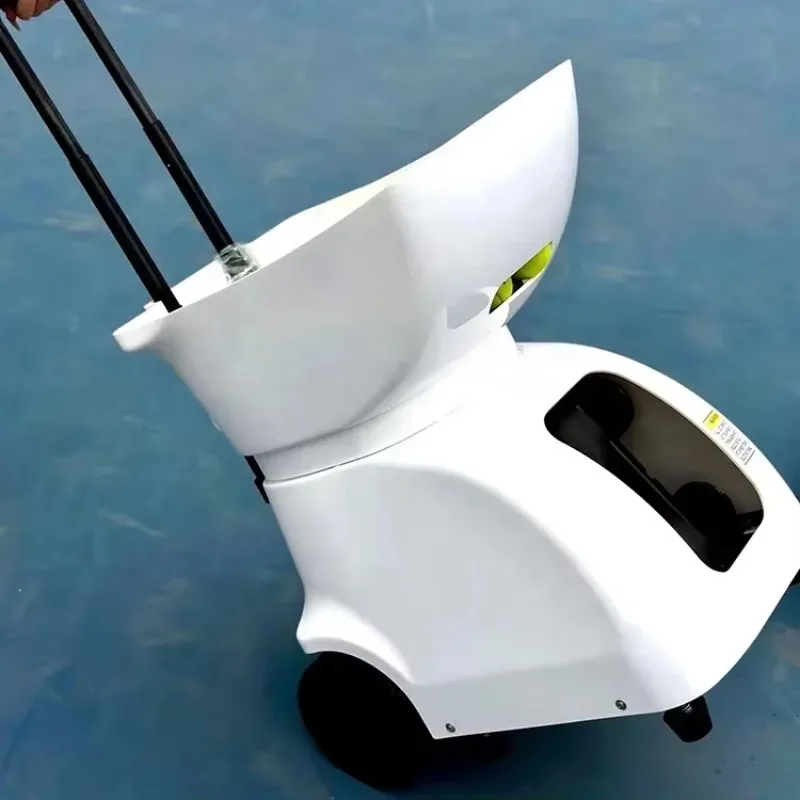 2025GT-P6 Picklebal…