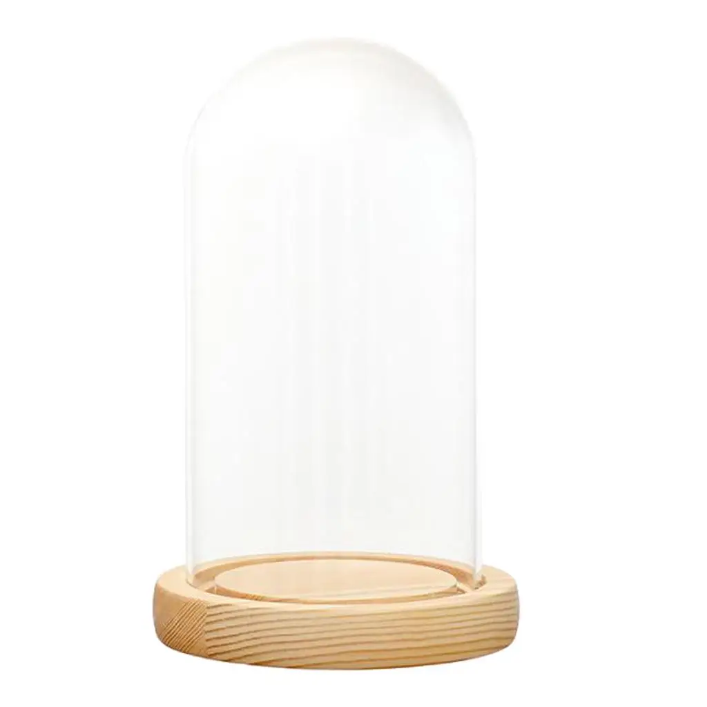 Mini Cloche Glass Dome Cover Display Container with Wooden Base for Flower Arrangement and Decor
