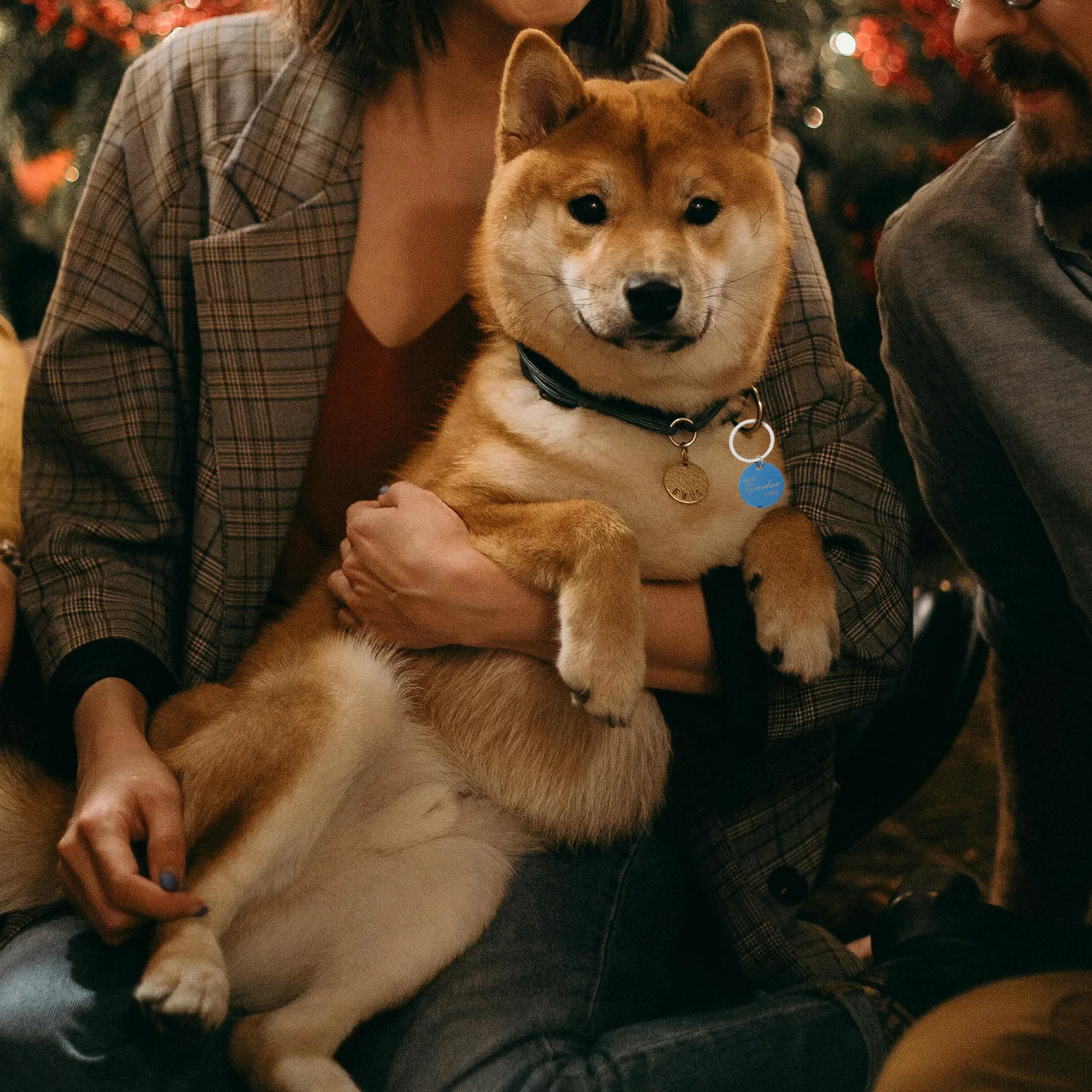 

4Pcs Pet Id Tag Keychain Stainless Blank Dog Collar Name Plate Cute Round Pet Tag for Puppies Kittens Small Pets