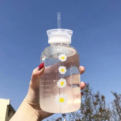 Double lid daisy transparent frosted high borosilicate glass portable ins straw drinking cup