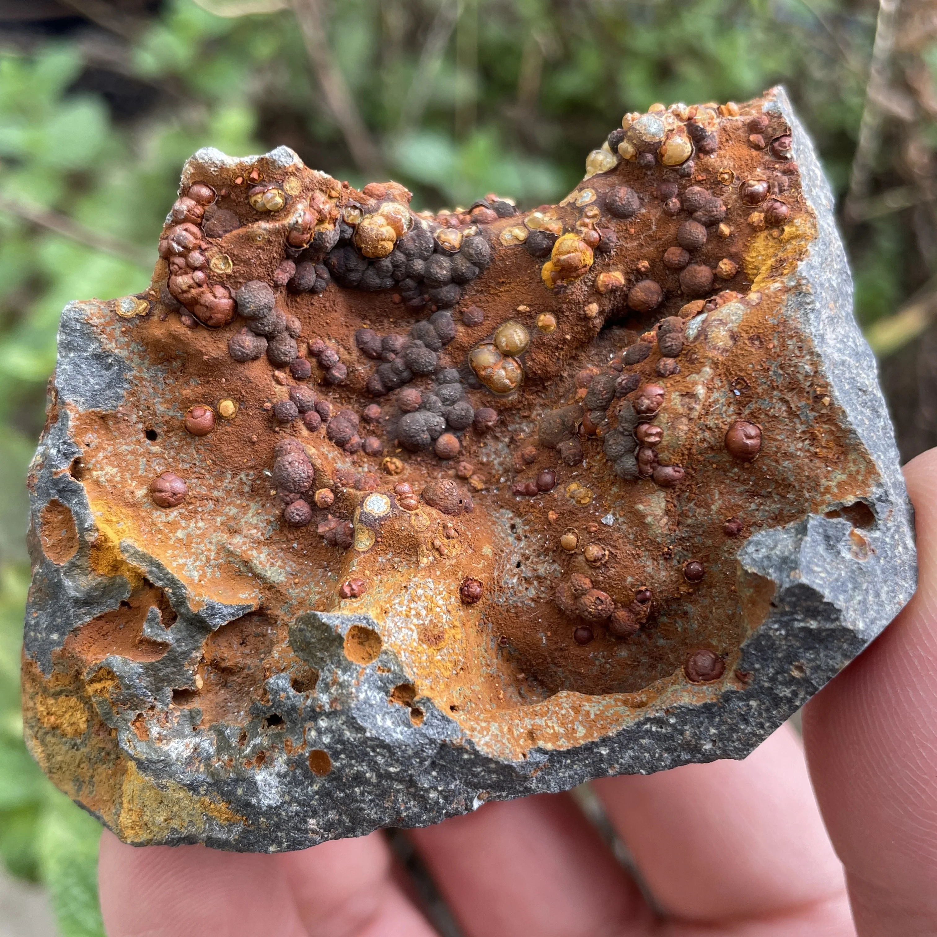 150G Natural Fujian… - image