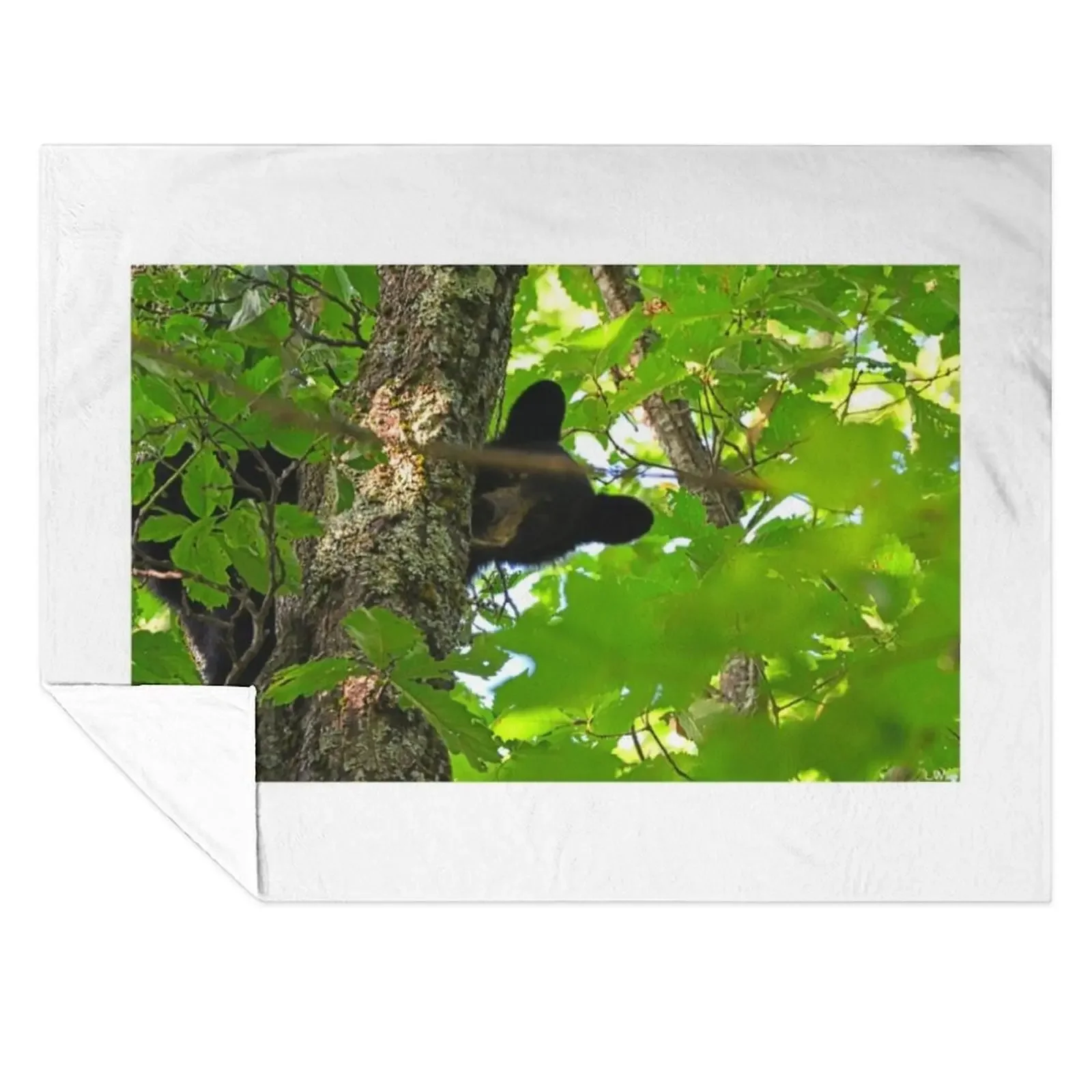 

Peek A Boo Bear Throw Blanket blankets and throws Beach Blankets For Bed heavy to sleep Blankets