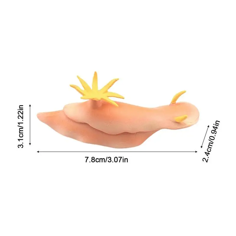 Animais simulados Figurines Modelo para Coleção, Lula Lula, Léba do Mar, Vida Marinha, Brinquedo Educativo, Ocean Animals Figuras