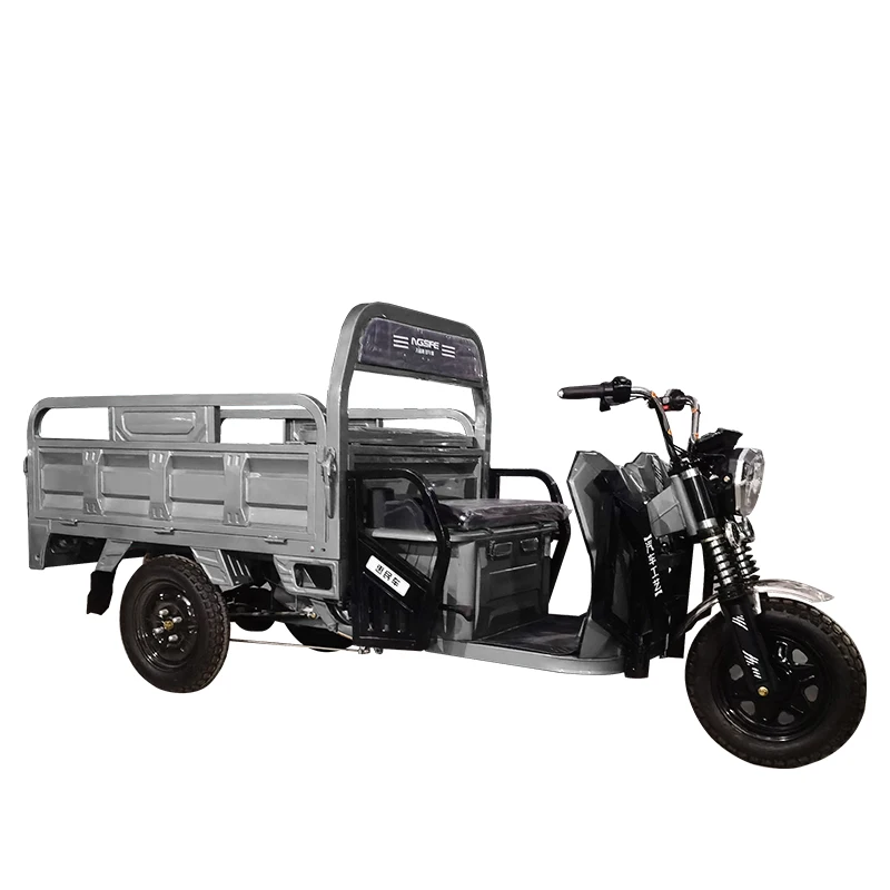 2 seat electric tricycle car china Made in China for cargo solar