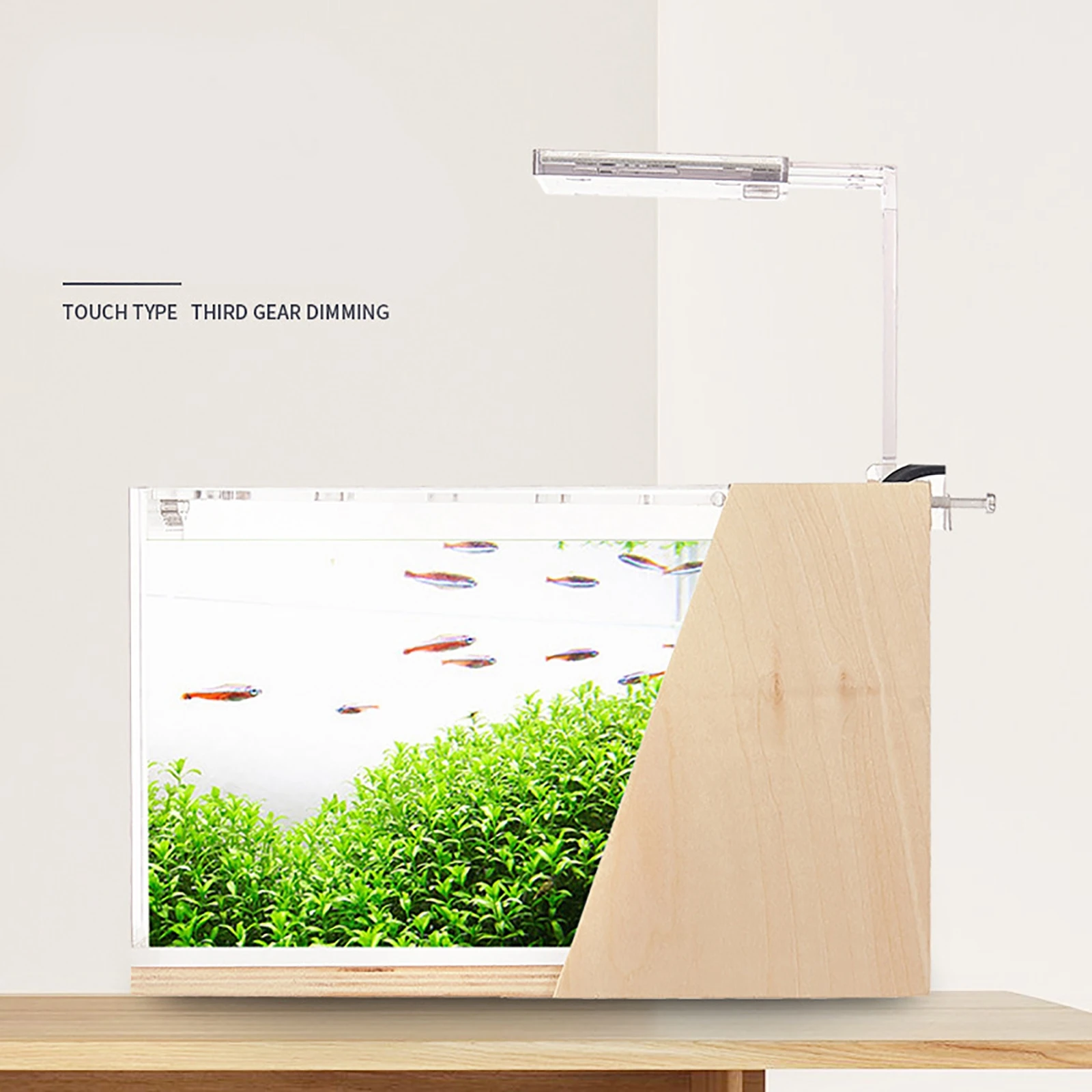 Imagem -04 - Desktop Fish Tank Mini Filtro Lateral Embelezamento Acrílico Ecológico Pequeno Escritório Criativo Aquário Micro Fish Tank Modo de Luz