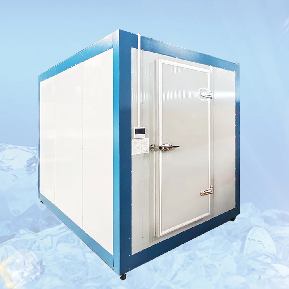 Grande e pratica stanza di conservazione frigorifera per varie applicazioni Sala congelatore Camminata efficiente nella stanza frigorifera
