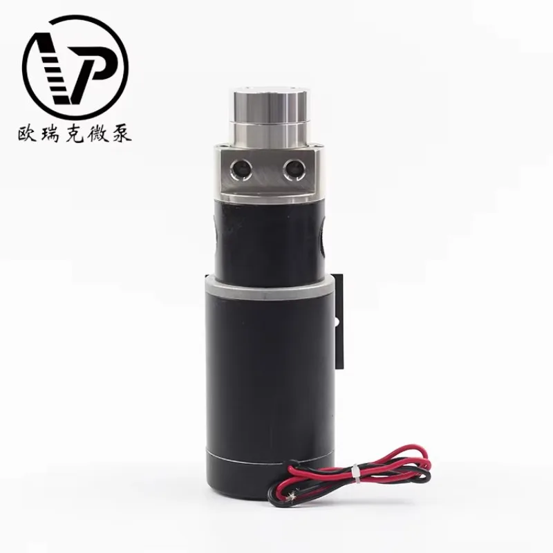 Pompa a ingranaggi magnetiche ad alta pressione mini piccola micro 5 bar 3000 giri/min