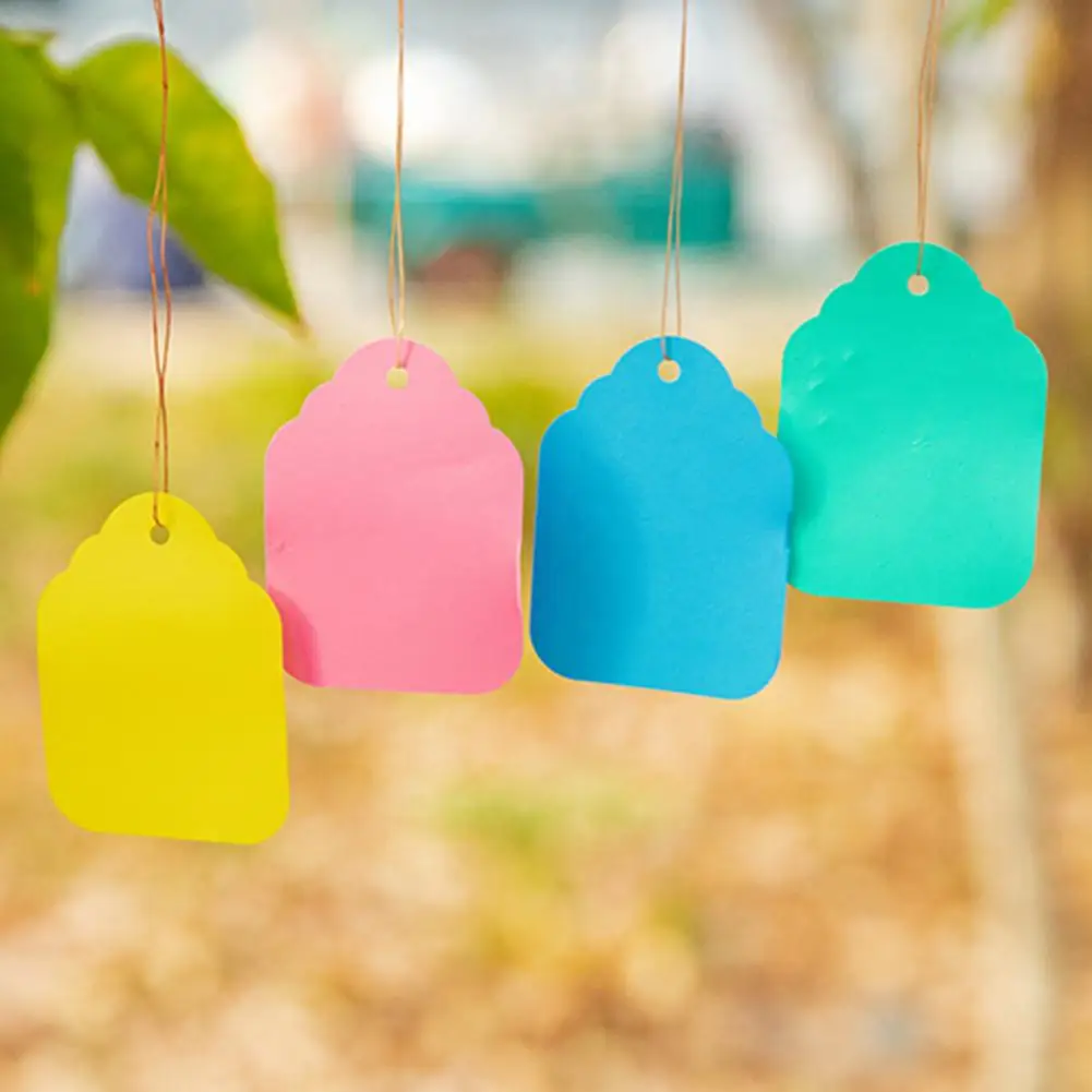 100Pcs/Bag Plant Tags Waterproof Gardening Tags Weather Resistant Garden Markers Plastic Colorful Hanging Plant Tags for Garden