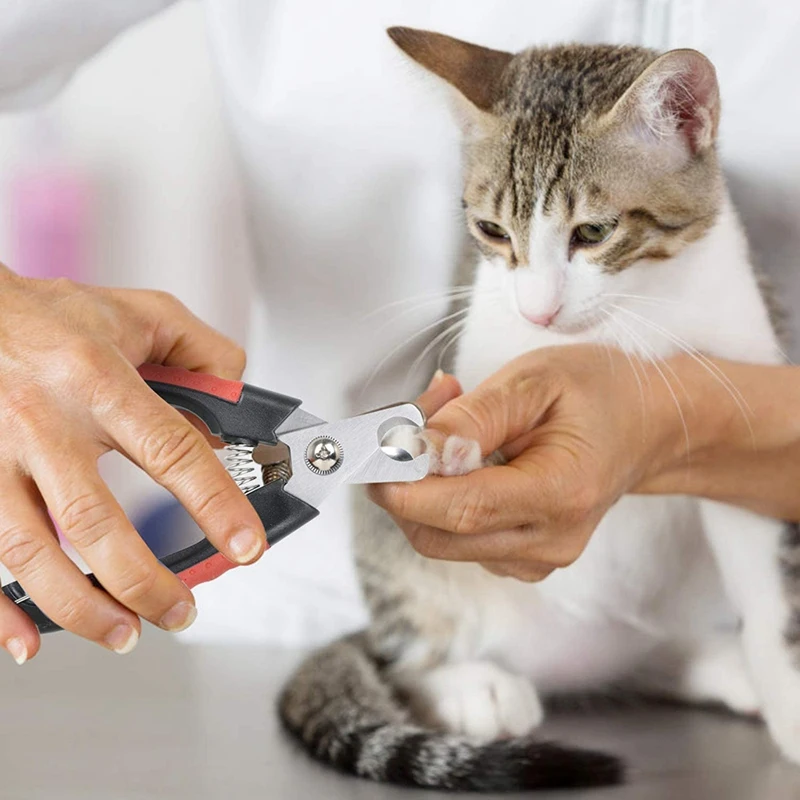 NEW-Pet Nail Trimmer Clipper Made Of Stainless Steel For Pet Care Of Dogs, Cats, Rabbits, Rabbits Etc.