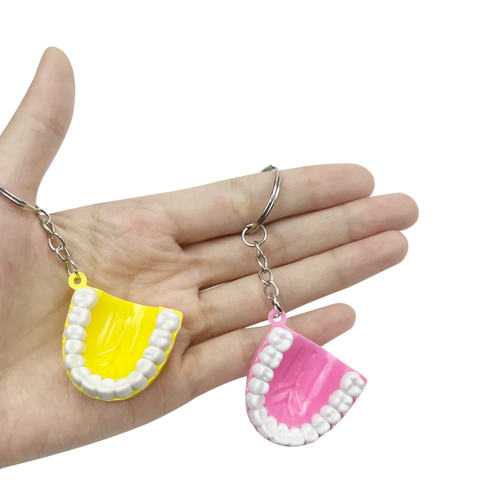 10 قطعة/الوحدة الأسنان على شكل المفاتيح المحمولة نموذج الأسنان العلوي الفك قلادة Maxillary مفتاح سلسلة طب الأسنان اكسسوارات طبيب الأسنان هدية #2