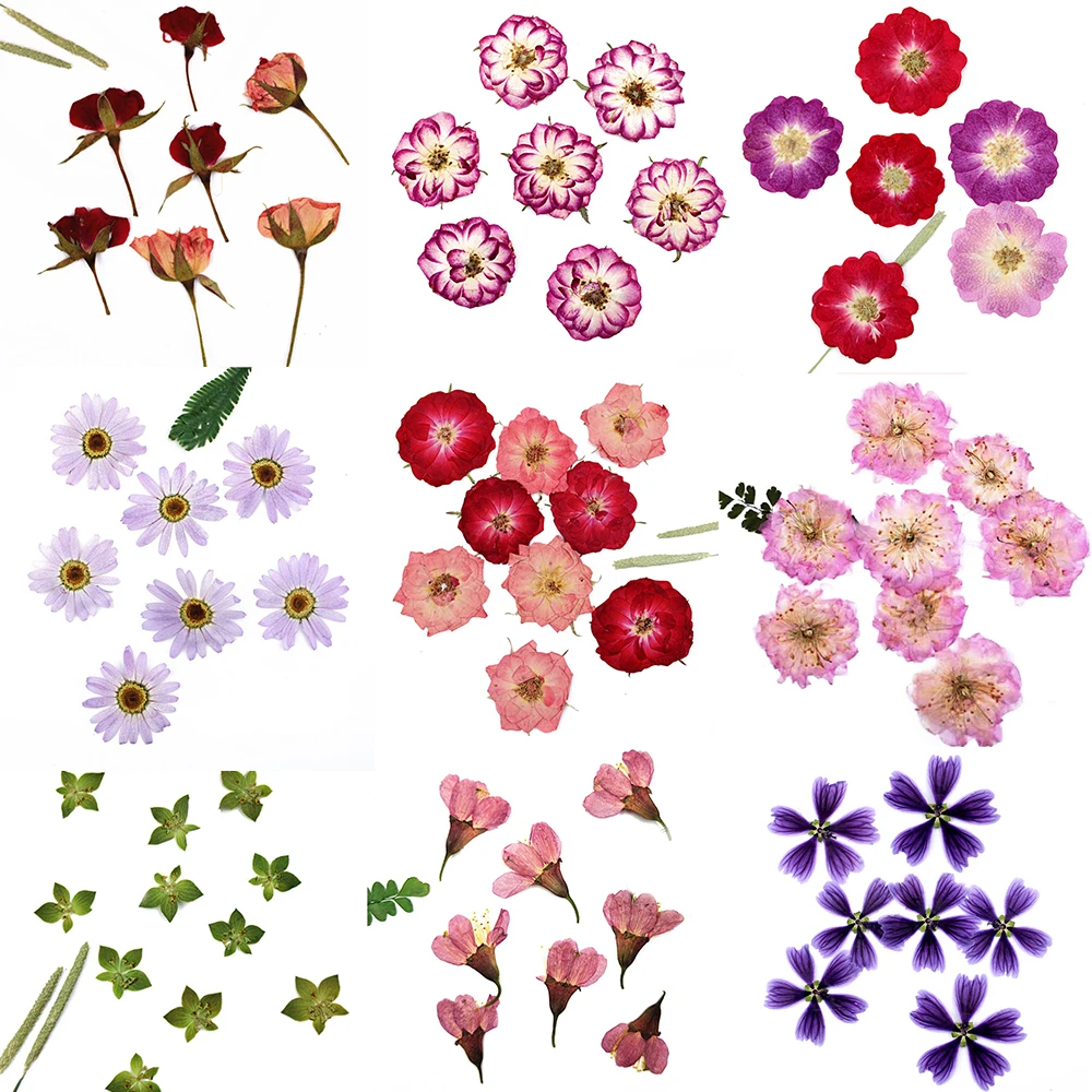 Real Dried Flowers Rose Cherry Flower For DIY Art Craft Epoxy Resin Candle Soap Making Jewellery Scrapbooking Accessories