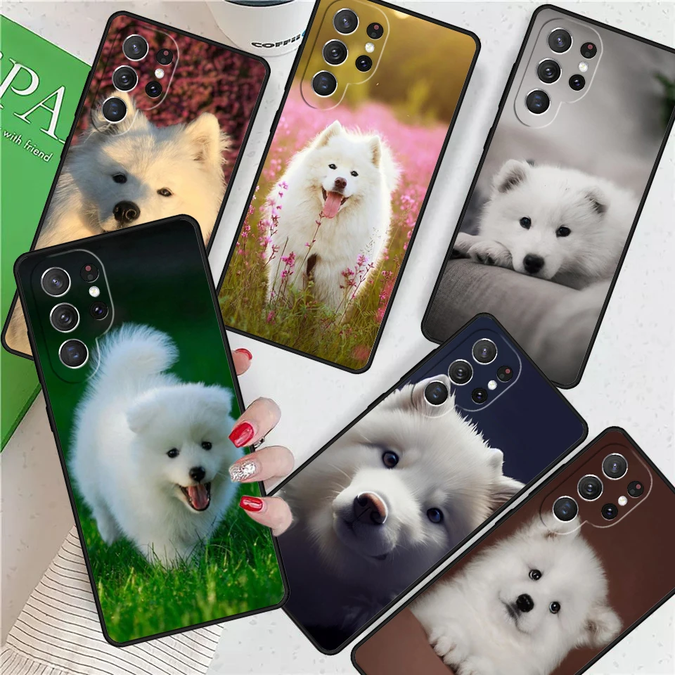 Samoyed Puppy For Samsung Galaxy S24 Ultra S21 S22 S8 S9 S10 5G Note 10 20 Plus FE S23 Phone case Cover Coque