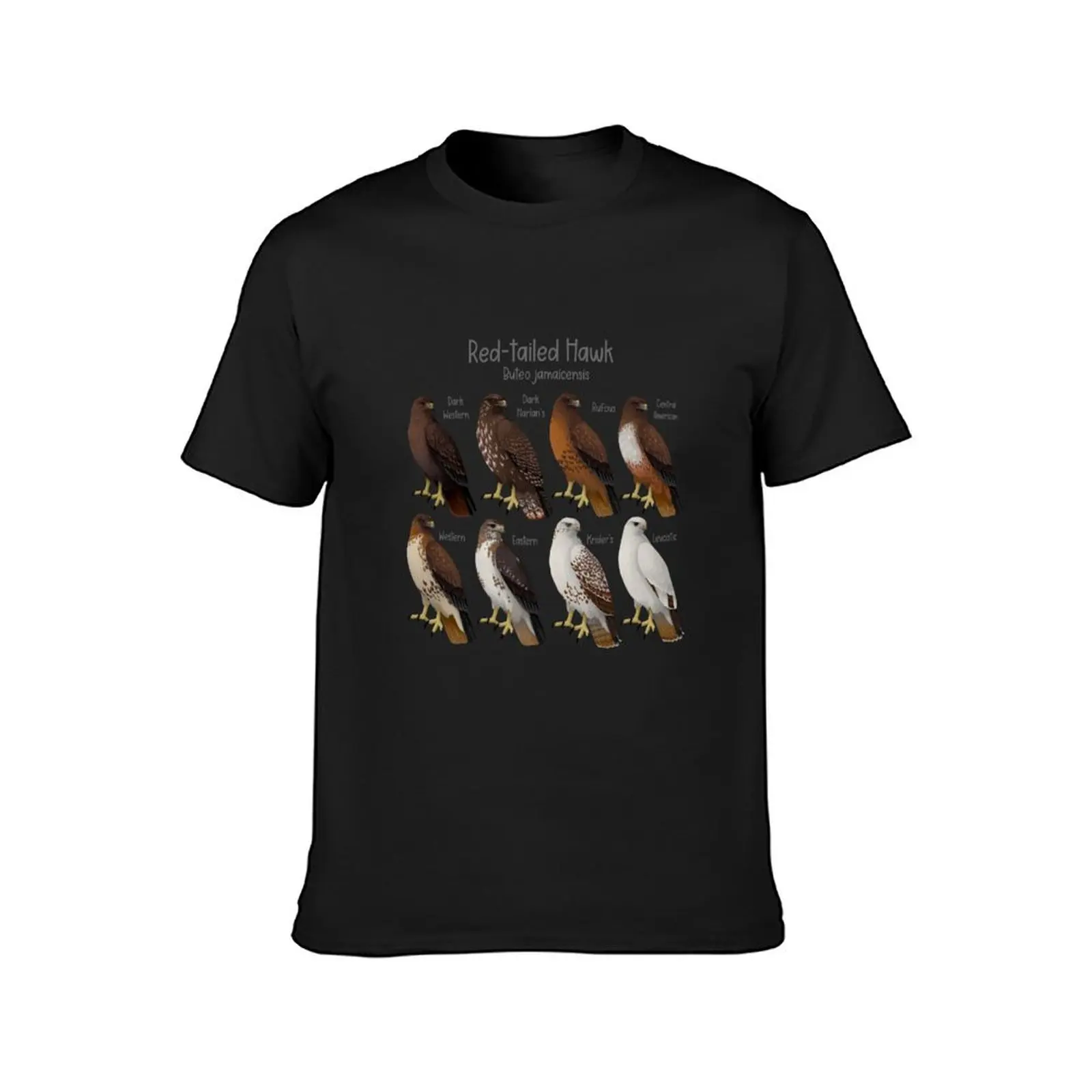 Red-tailed Hawk Morphs and Subspecies T-Shirt customs Short sleeve tee for a boy aesthetic clothes mens t shirt