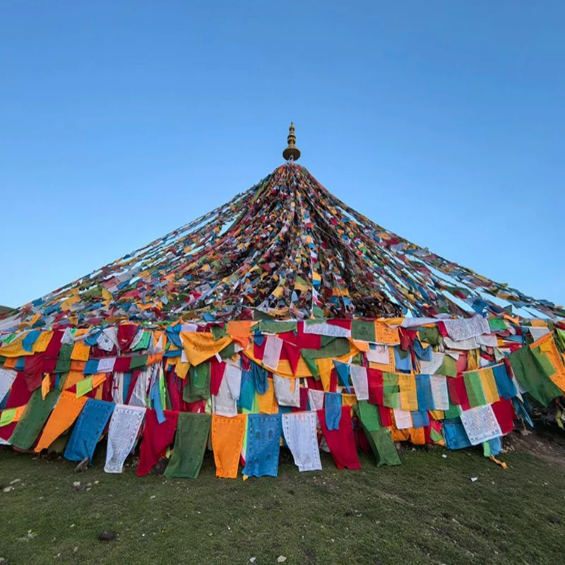 HolyBro Pixhawk 6X Pro Flight Controller for Industrial and Commercial Base PM02D For RC FPV Drone