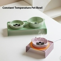 Constant Temperature Heating Ceramic Elevated Cat and Dog Drinking Bowl, Neck Protection Dog Bowl, Small Dog and Kitten Double