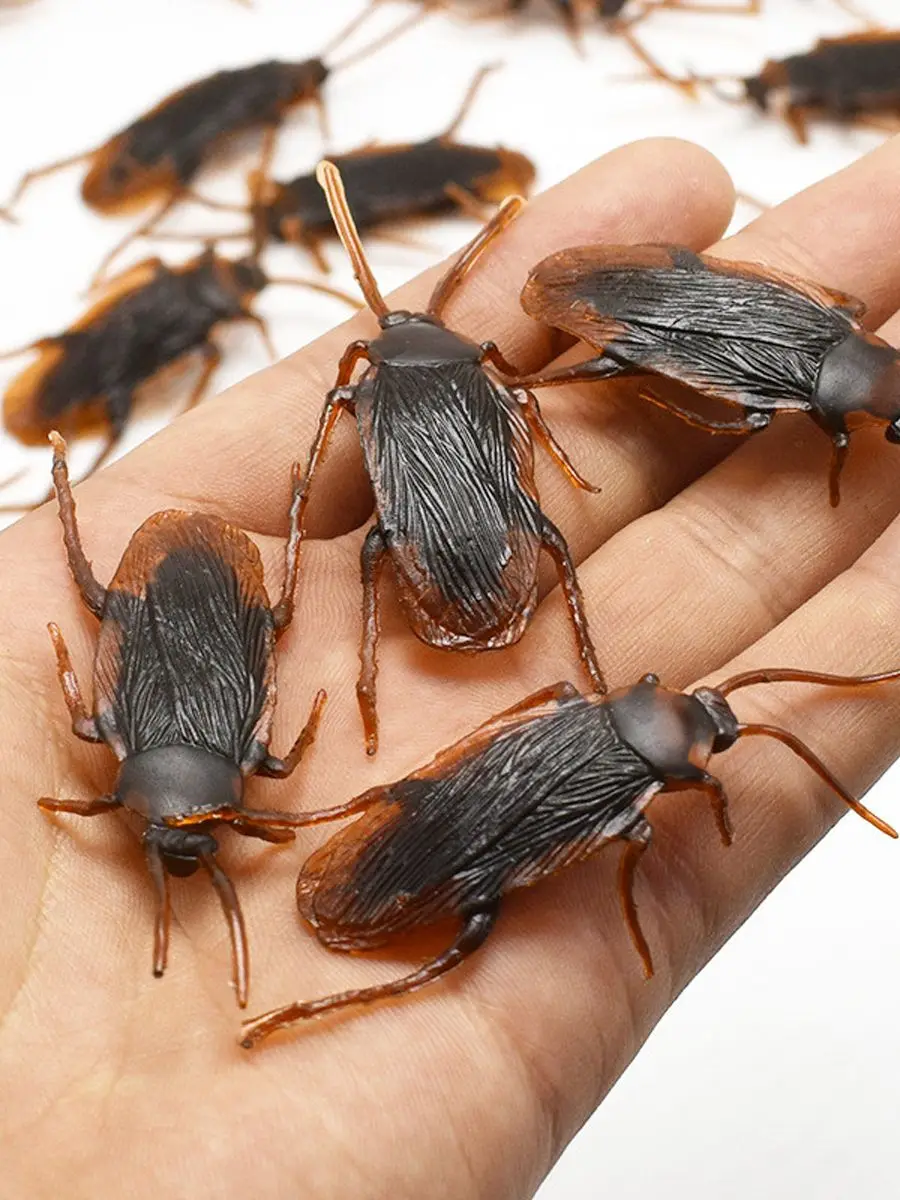 Gadget d'halloween, cafards en plastique, accessoires de décoration, jouet en caoutchouc, Gags, blagues pratiques, insectes en plastique, cafard, 5 à 50 pièces