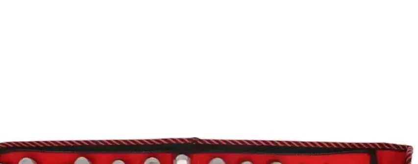 

13Pcs Stainless Steel Dental Lift Minimally Invasive Tooth Extraction Straightening Curved Dental Lift Dentist Instruments Tool