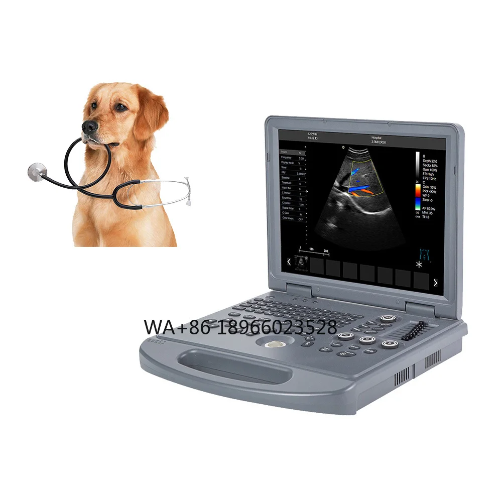 LTUB10V Veterinary Ultrasound Diagnostic System Portable