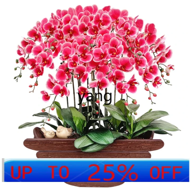 

LMM New Chinese Phalaenopsis Emulational Flower Decoration Living Room Greenery Ornament Furnishing