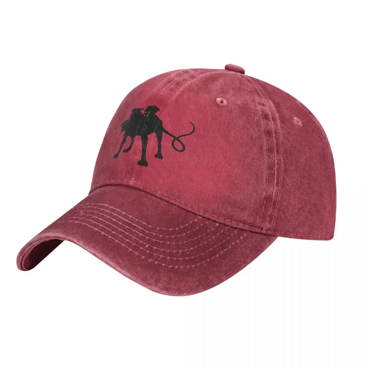 Cerberus Baseball Cap cowboy hat Peaked cap Cowboy Bebop Hats Men and women hats