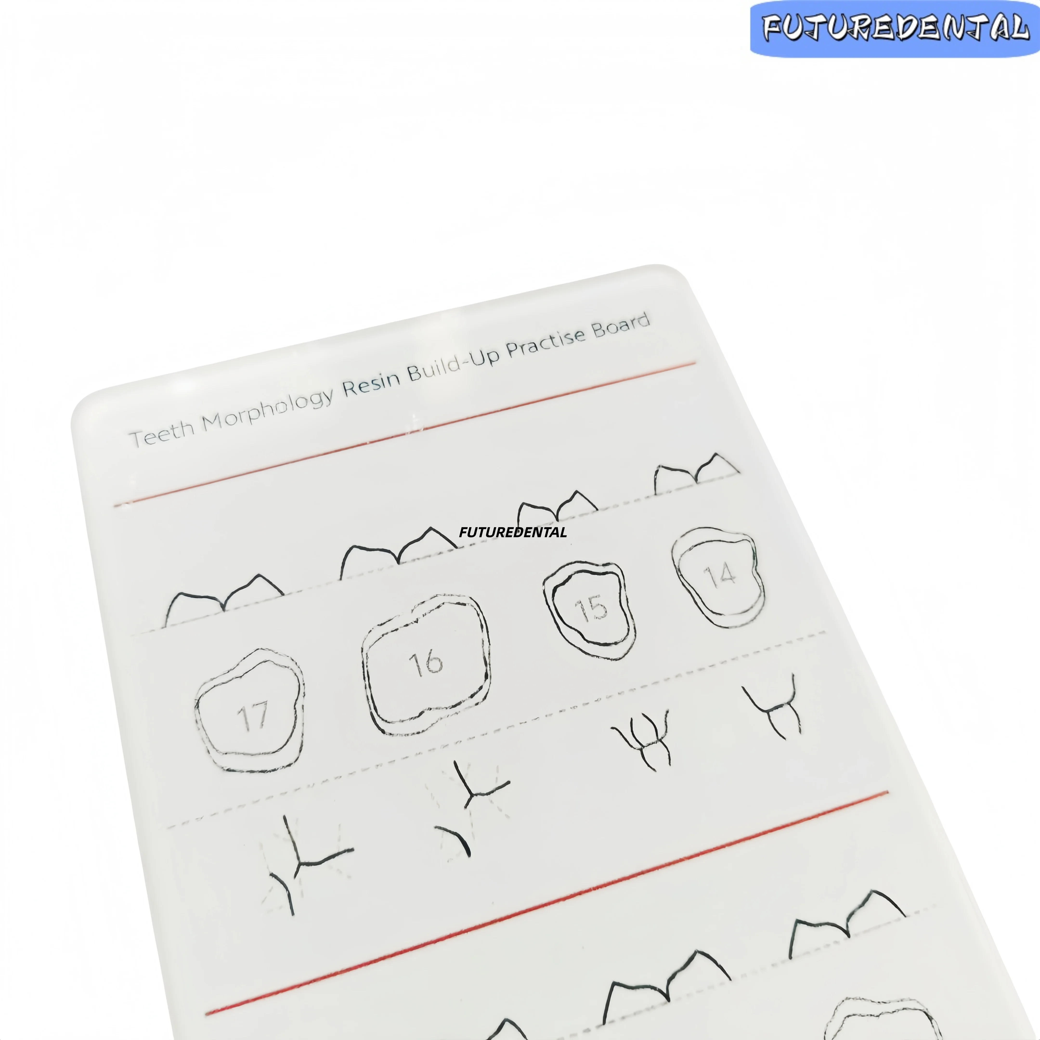 Dental Resin Build-Up Practice Board Set Transparent Teeth Morphology Training Plate for Anterior & Posterior Caries Simulation