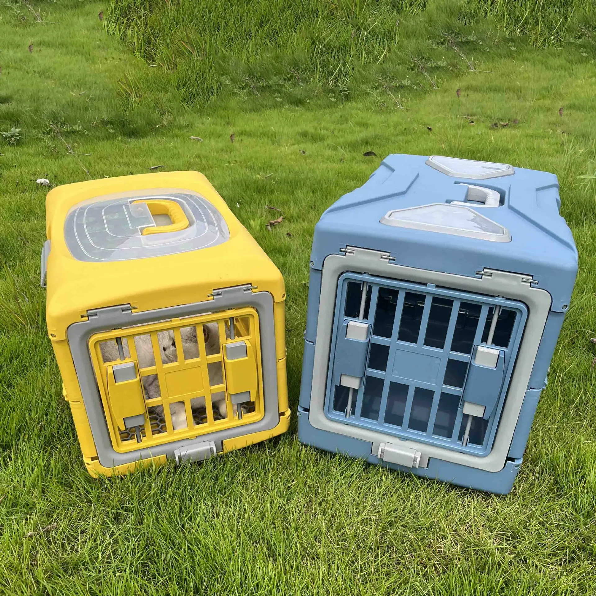 Boîte d'enregistrement portable pour animaux de compagnie, étui de vol pliable, chenil respirant, fournitures pour animaux de compagnie, voiture, chats, sortie