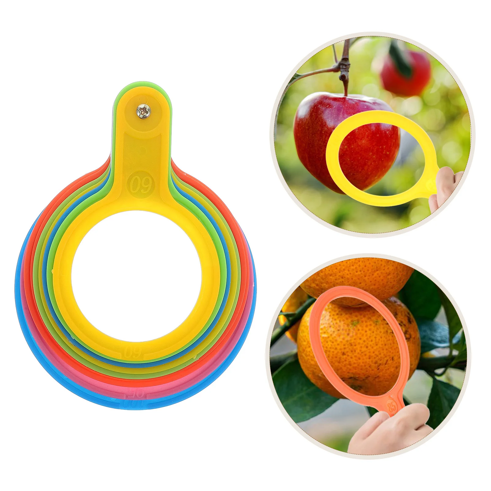 

1Set Fruit Measuring Ring Fast Sorting Diameter Circle for Citrus Pomegranate Pear Efficient Grading Tool with Standard Scale
