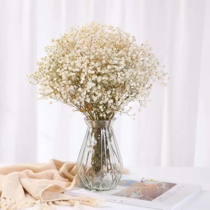 

Dried Baby Breath Flowers Bouquets Colorful White Gypsophile Natural Dry Flower Gypsophila Wedding Decoration Nordic Home Decor