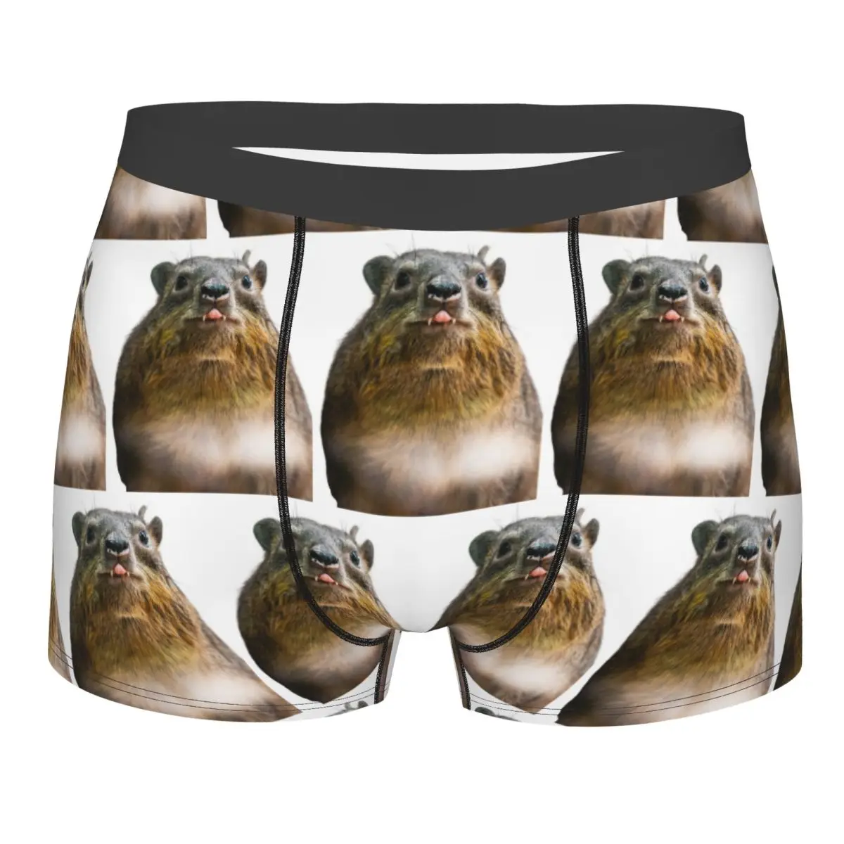 Boxer Underpants Shorts Rock Hyrax Photo Cute Vampire Potato Panties Men's Soft Underwear for Homme Man Boyfriend Gifts