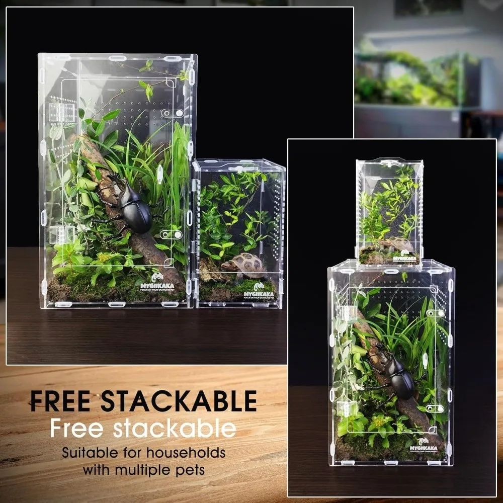 Acrylic Jumping Spider Enclosure Buckle Lock Escape Proof Reptile Feeding Tank Ventilated Transparent Spider House - view 3