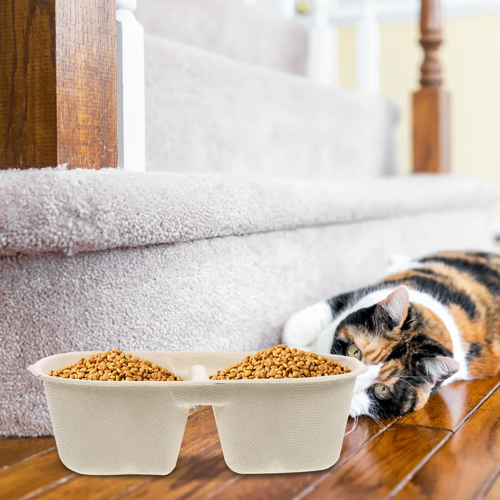 Pet Supplies In Store - Disposable Cat Bowl Stable Design Pet