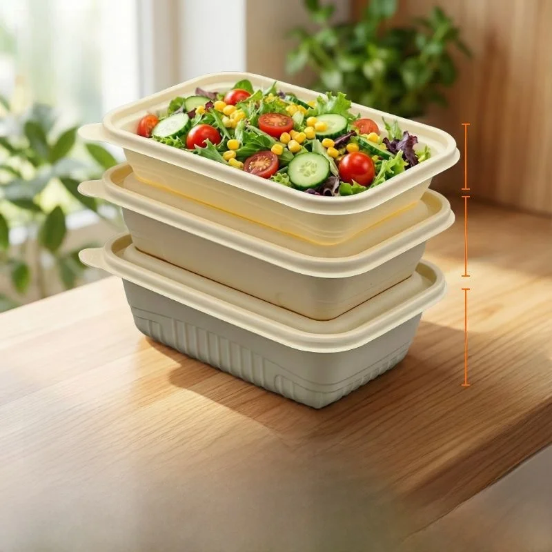 boite-a-emporter-rectangulaire-en-amidon-de-mais-biodegradable-epaissie-avec-couvercle-pour-usage-commercial-camping-en-plein-air-pique-nique-vaisselle
