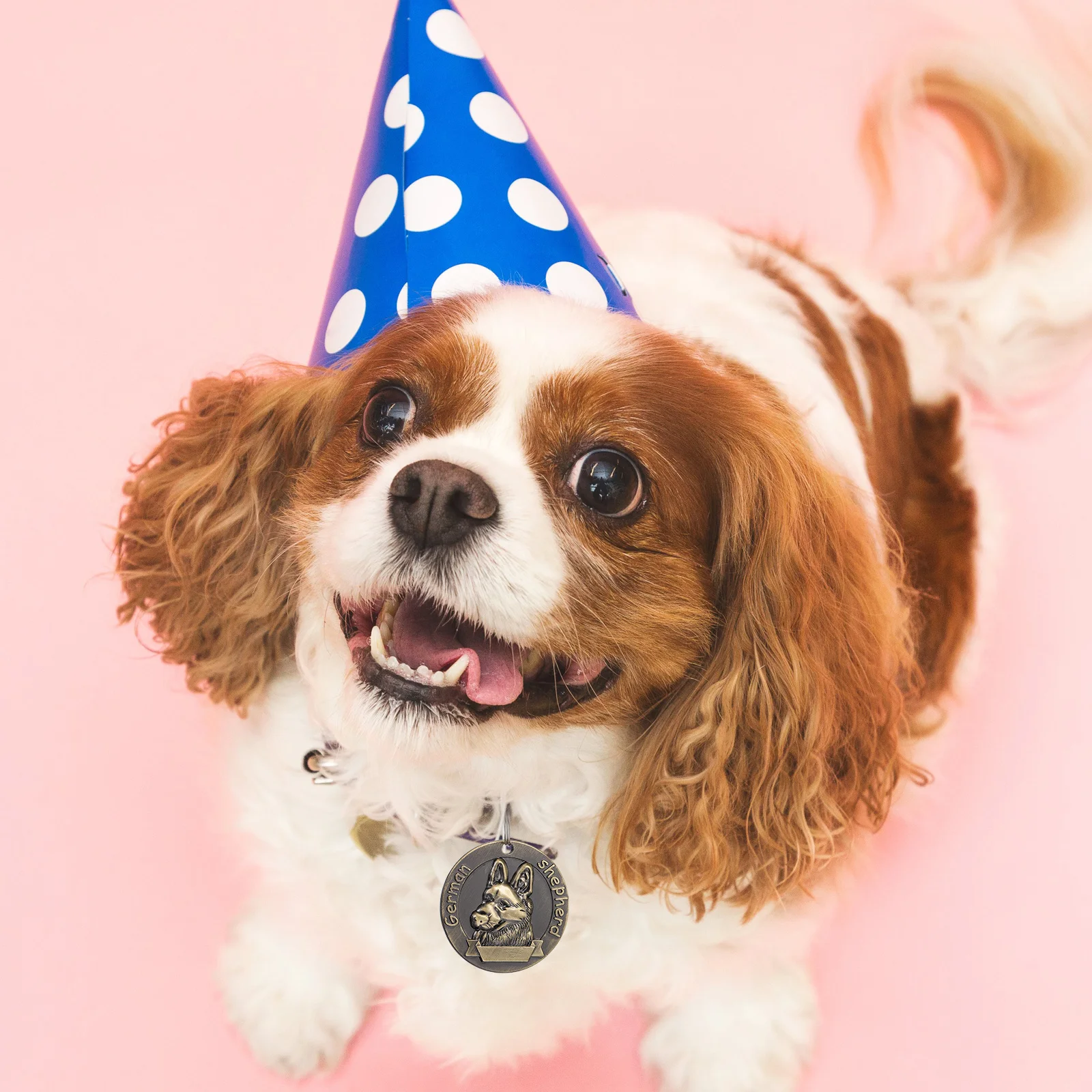 

3Pcs Pet Identity Tag Creative Retro Design Dog Id Cards for Pomeranian Unique Elegant Pet Charm Tag German Shepherd Id Tags