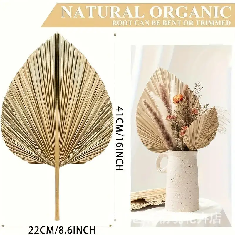 Dried Natural Flowers Palm Leaves Dry Palm Fan Window Reception Party Art Wall Hanging Decoration Wedding New Artificial Plants