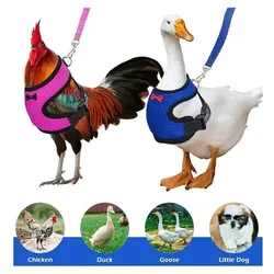 Pet vest belt Adjustable Breathable chicken duck fashion mesh pet with chest back set  plus traction chicken duck goose training