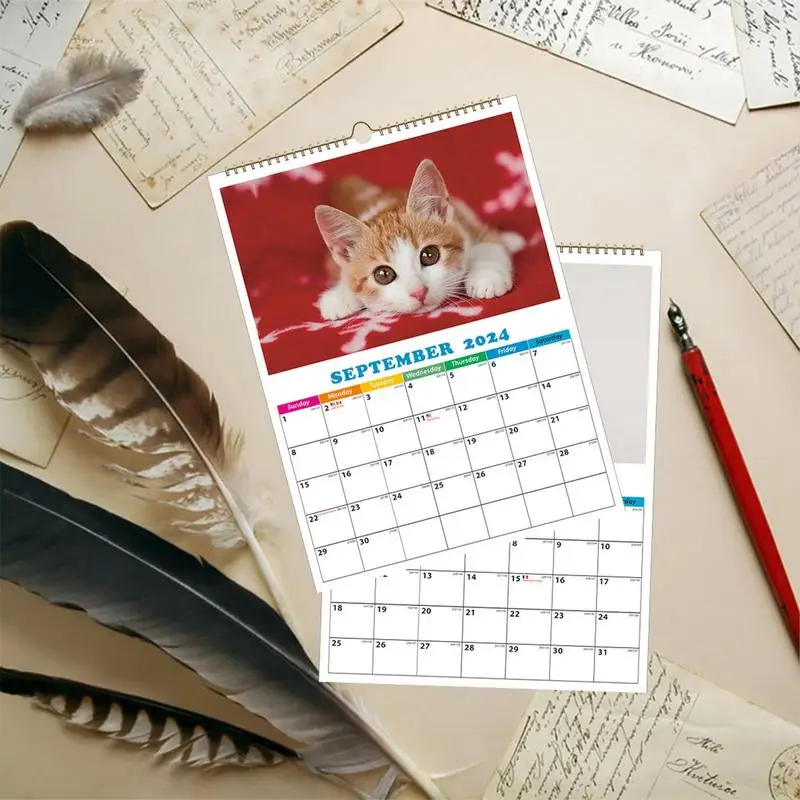 2024 Dog Calendar For Wall Funny Daily Cat Calendar A4 Wall Calendar Dog Calendar Daily Wall Decor For Apartment Dormitory