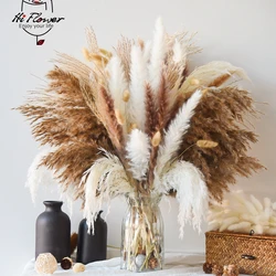 120pcs Dried Flowers Pampas Bunny Rabbit Tails Grass Bouquet Home Vase Decoration Artifical Flower Natural Pampa Wedding Decor