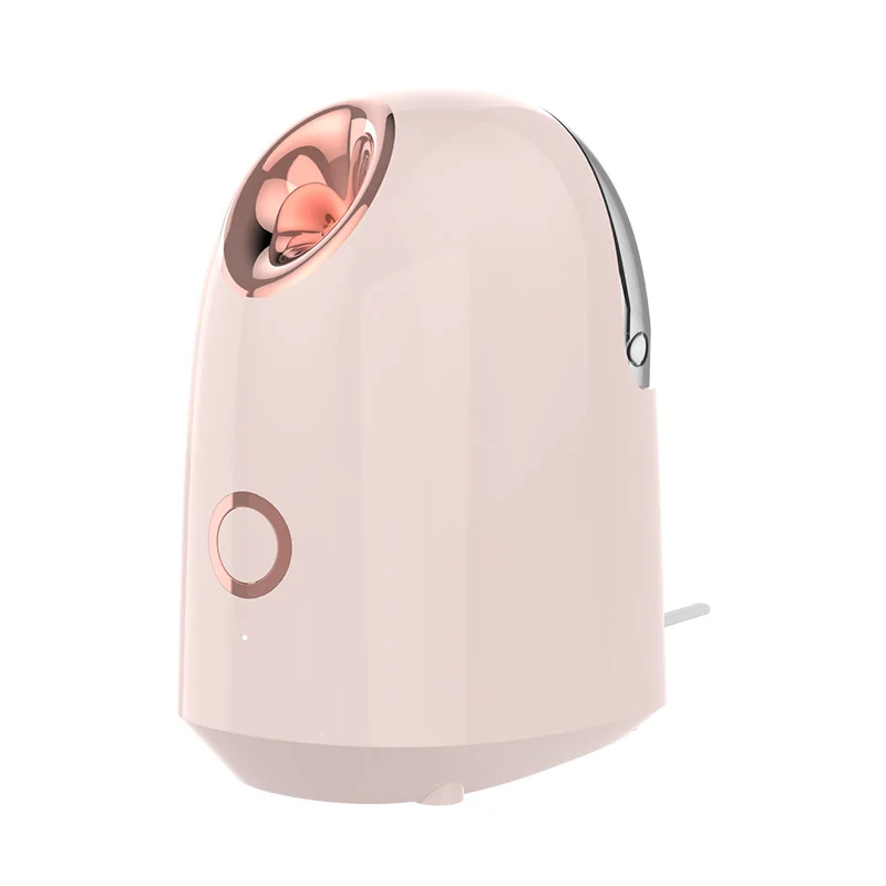 

2023 professionals beauty salons home face steams spray spa ionic nano face portable facial steamers for face