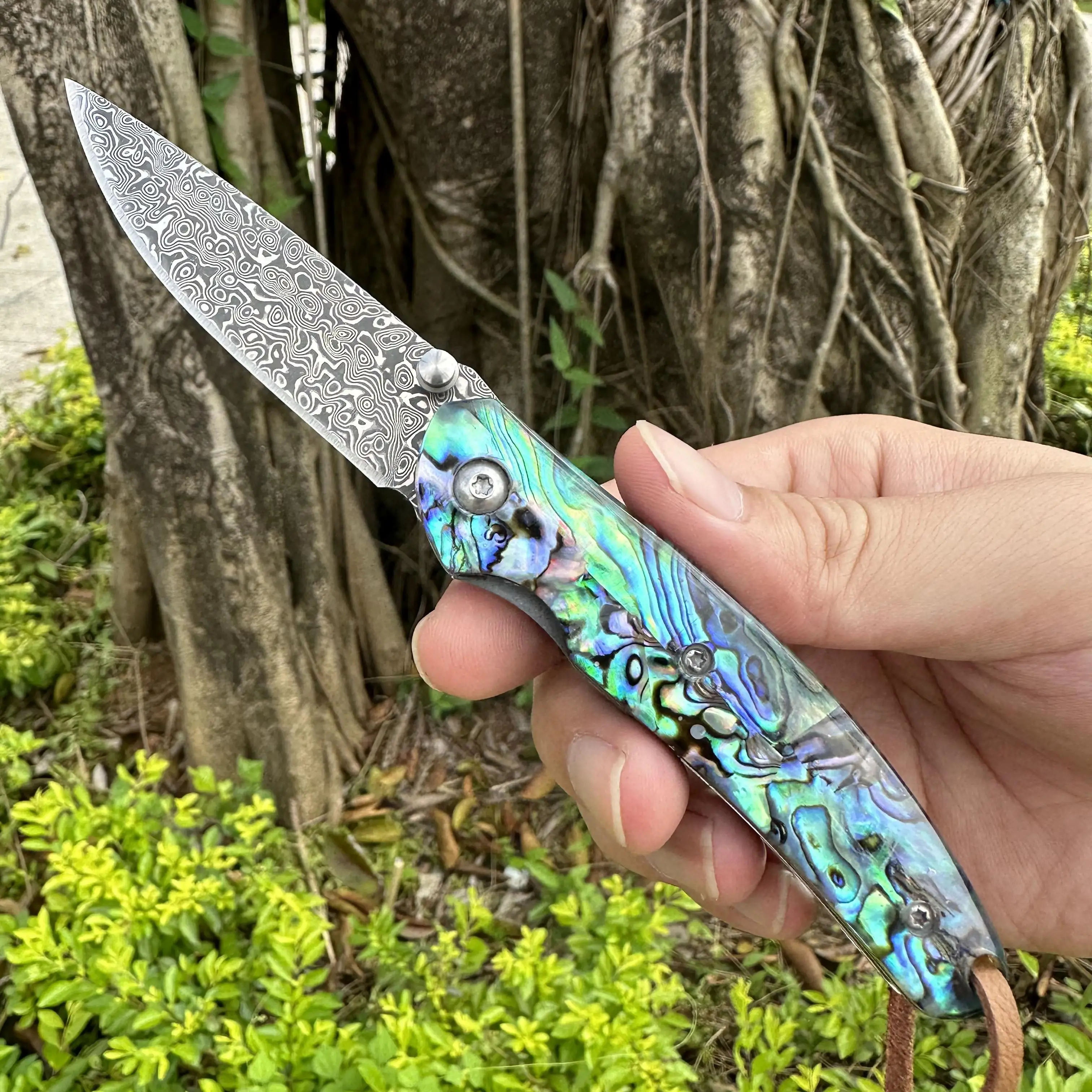 Topwell Handmade Forged Damascus Steel Knife VG10 Blade Abalone Shell Handle With Gift Box Camping outdoor Excellent Men Gift