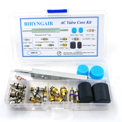 Imagen 2 del producto Kit surtido de núcleos de válvula de aire acondicionado para coche, recambio de reparación de núcleo de válvula de refrigeración automotriz R12 R134a, 100 piezas