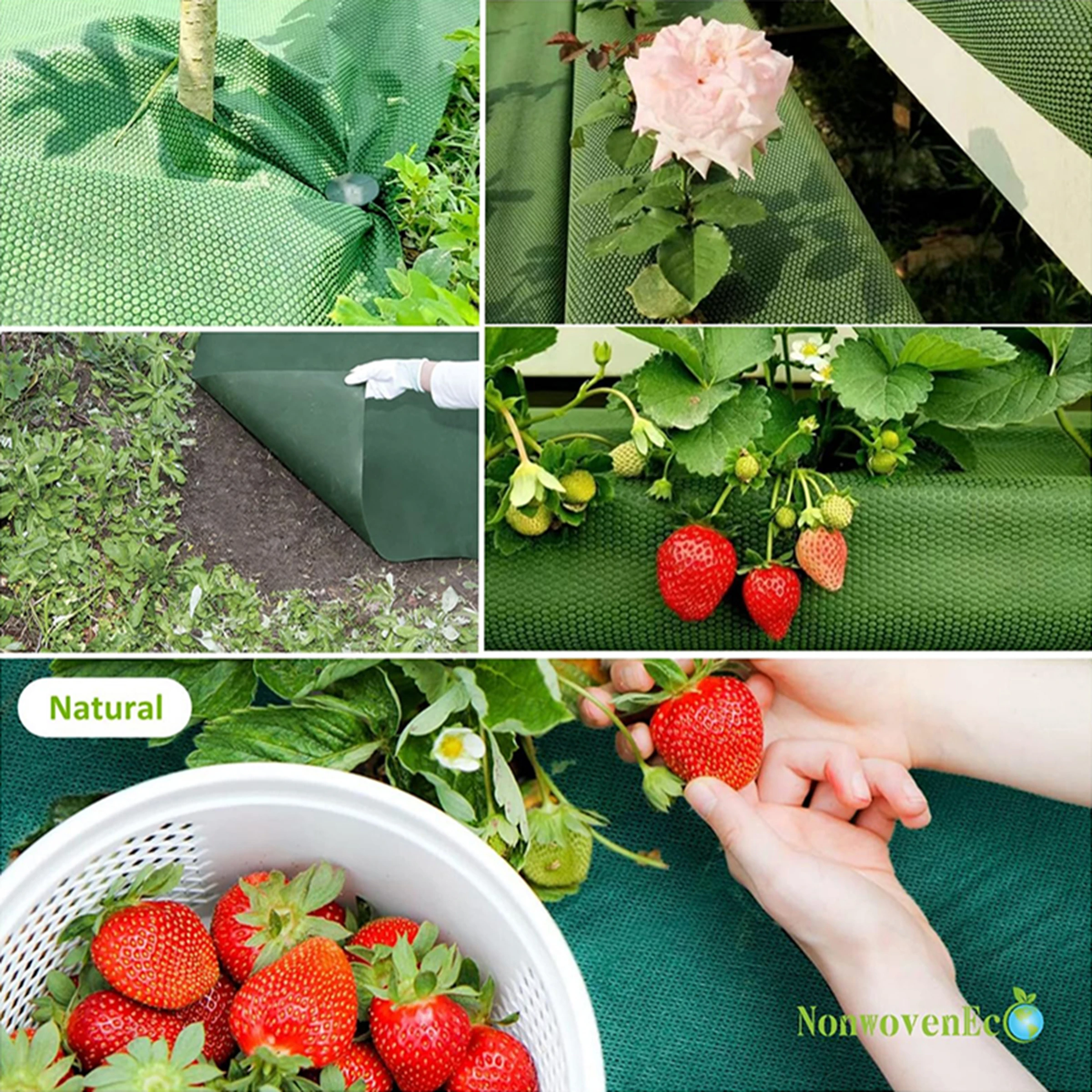 0.6M Wide Perforated Green Black Grass Proof Cloth,Including 10 Ground Nails,Suitable For Weed Barriers In Vegetables And Fruits image 5