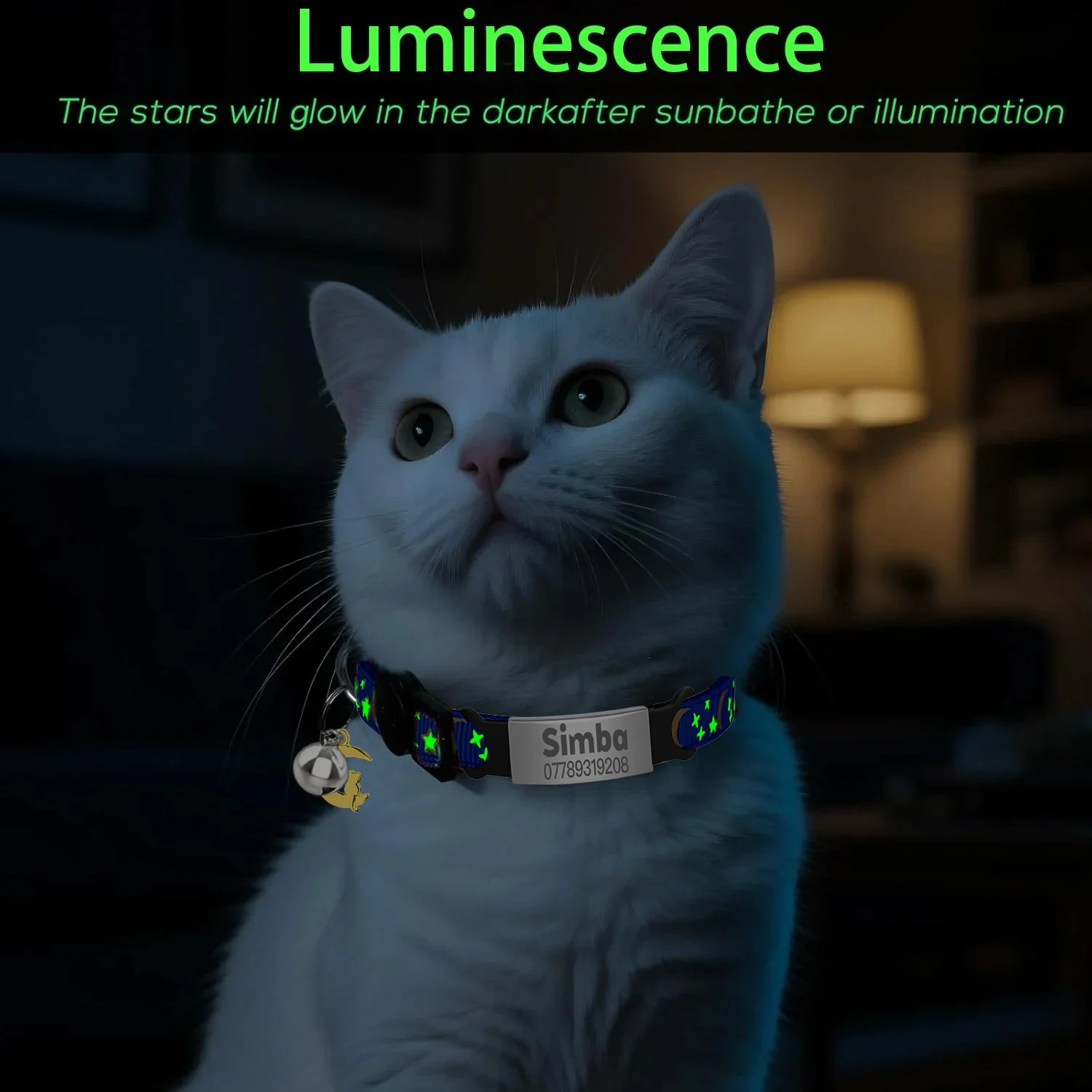Customized Cute Glow Cat Collar Free Engraved Puppy Kitten Anti-lost Pet ID Nameplate Necklace With Bell & Moon Ornament image 2
