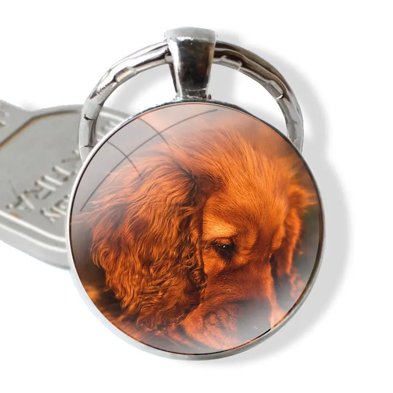 glass cabochon keychain Car key chain Charms keychains Gifts TPU Transparent Cover harper cocker spaniel hellip dog puppies Cute